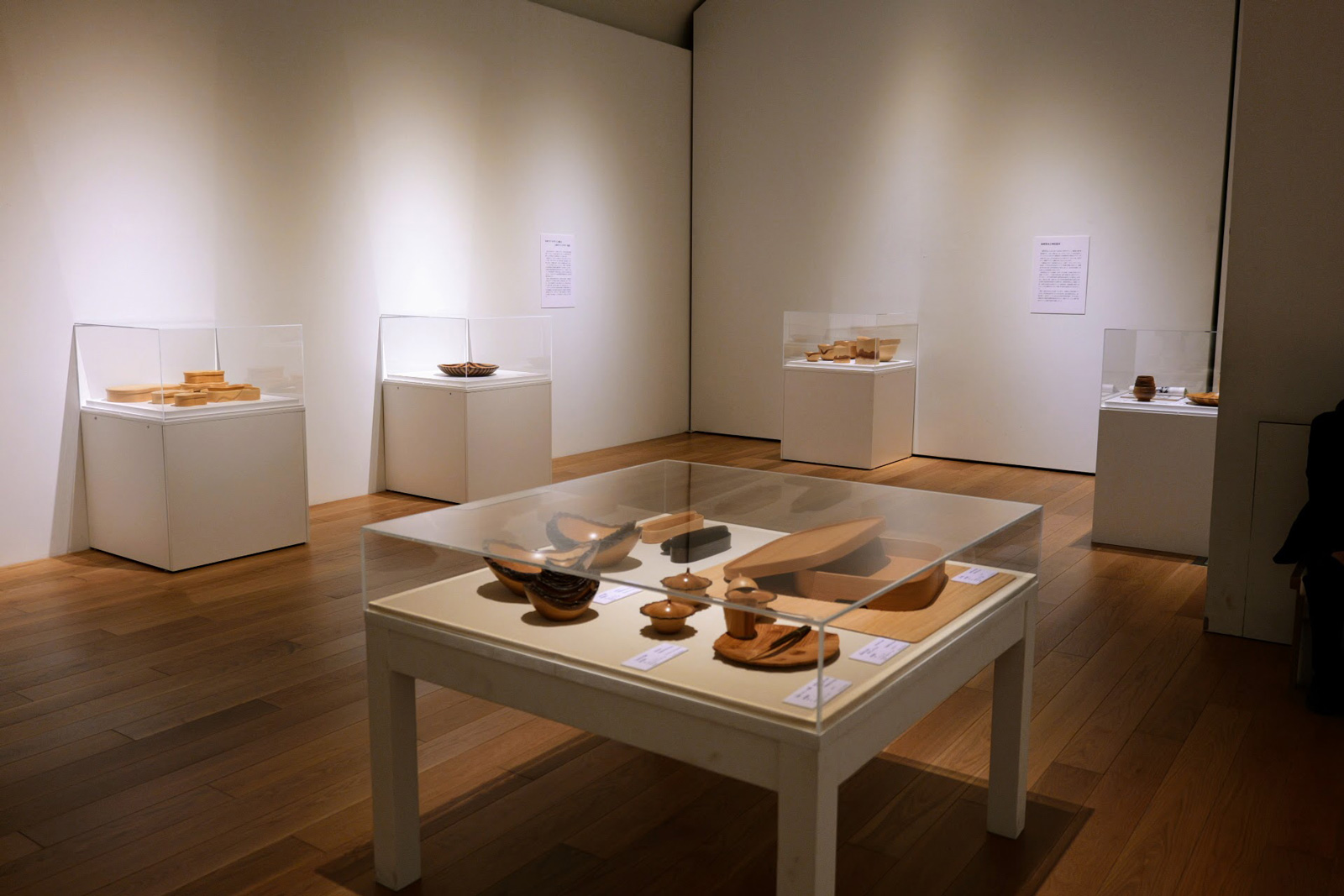 特集展示「時松辰夫／暮らし・自然へのまなざし」