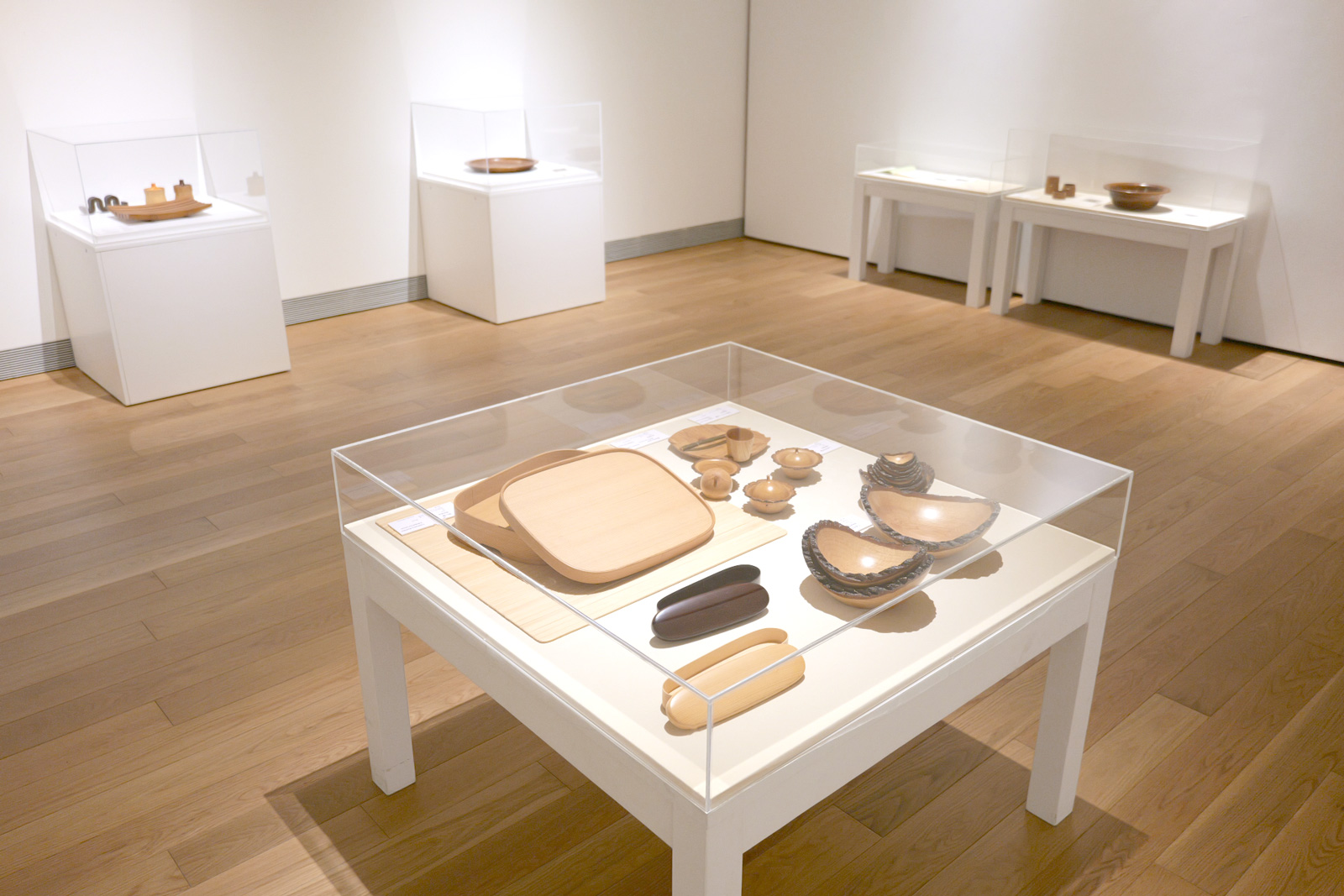 特集展示「時松辰夫／暮らし・自然へのまなざし」
